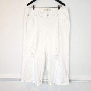 SLINK White Straight Leg Distressed Capri Jeans Cropped Size 18 Curvy a0711